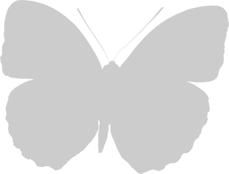 Butterfly vector