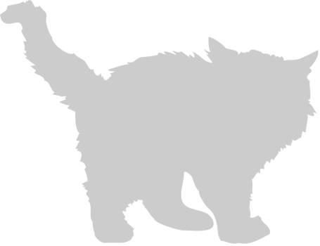 Cat vector