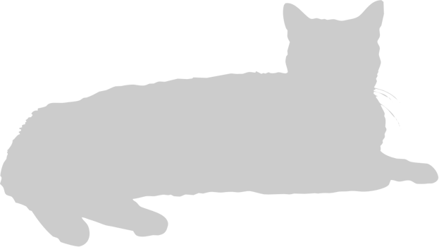 Cat vector