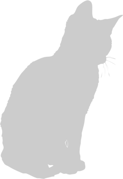 Cat vector
