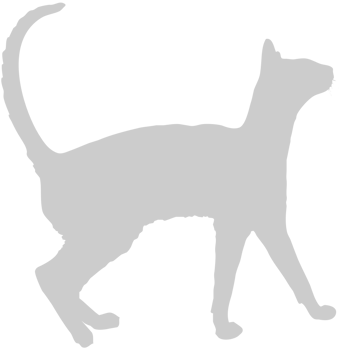 Cat vector