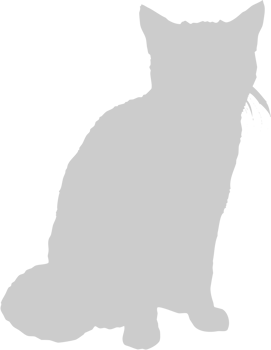 Cat vector