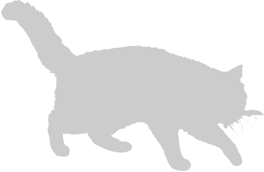 Cat walking vector