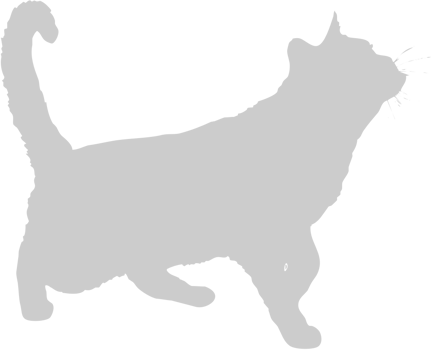 Cat vector