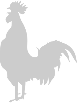 Chicken rooster vector