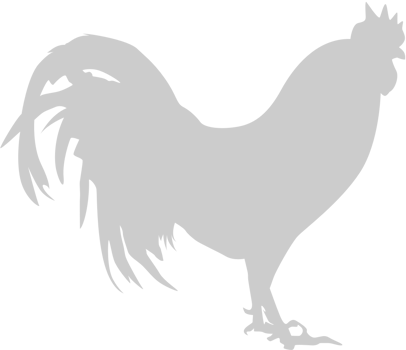 Chicken vector