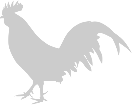 Chicken rooster vector