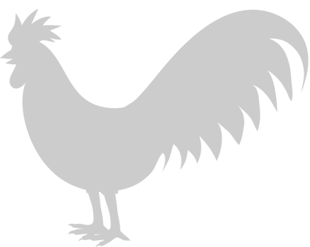 Chicken vector