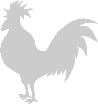 Chicken vector