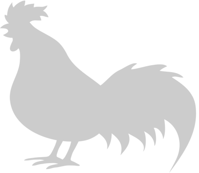 Chicken vector