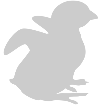 Chicken vector