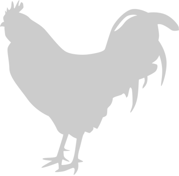 Chicken rooster vector