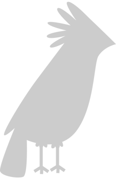 Cardinal vector