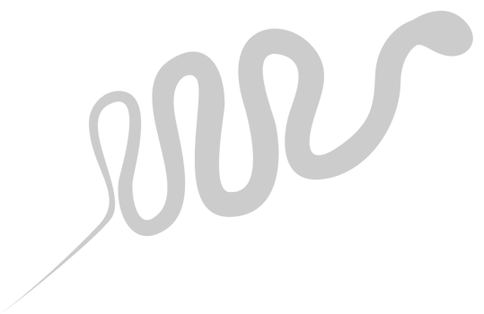 Cobra vector