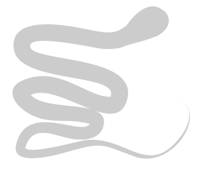 Cobra vector