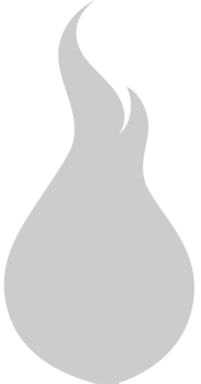 Fire  vector