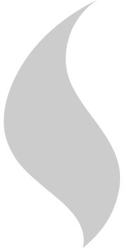 Fire  vector