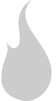 Fire  vector
