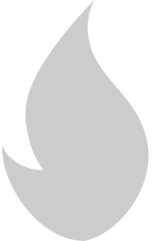 Fire  vector