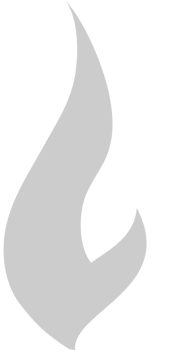Fire  vector