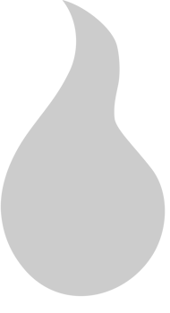 Fire  vector