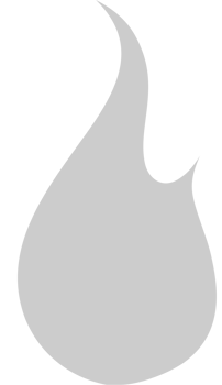 Fire  vector
