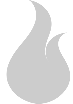 Fire  vector