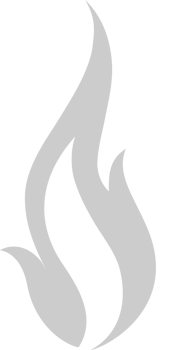 Fire vector