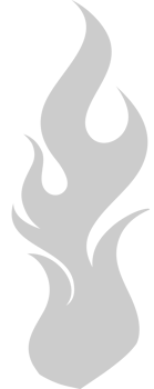 Fire vector
