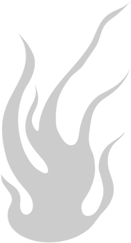 Fire vector