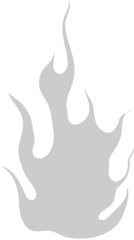 Fire vector