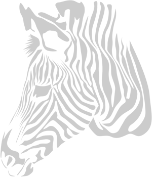 Zebra Head vector