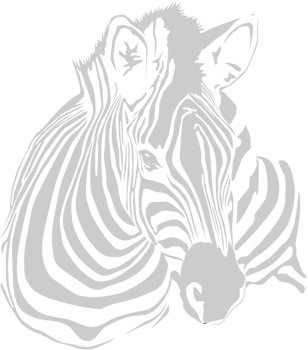 Zebra vector