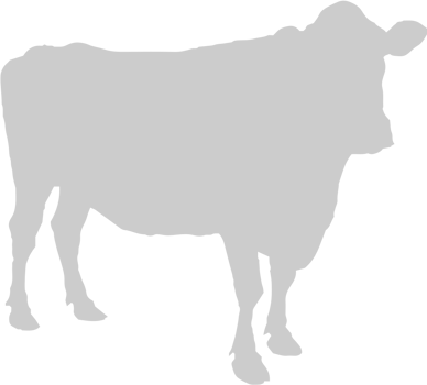 Cow vector