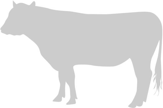 Cow vector