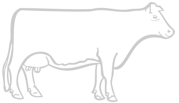 Cow vector