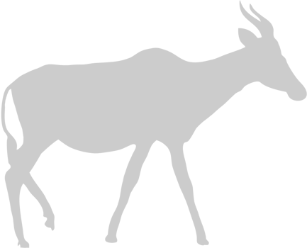 Deer vector