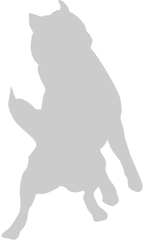 Dog jumping vector
