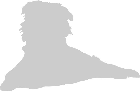 Dog vector