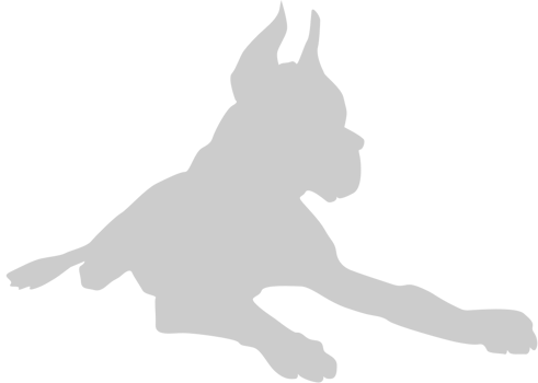 Dog vector