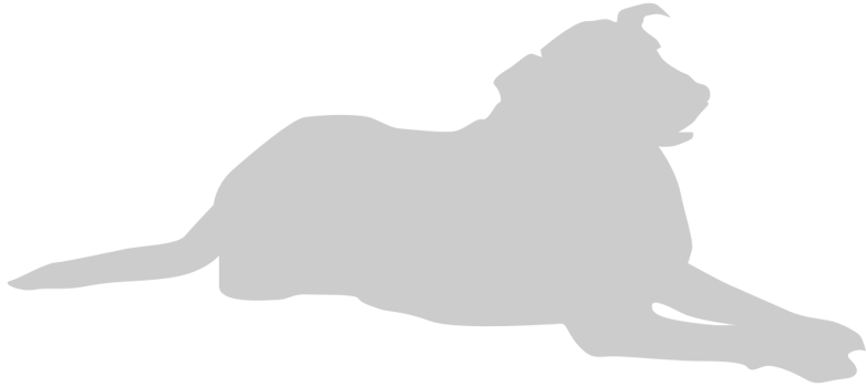 Dog vector