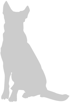 Dog vector