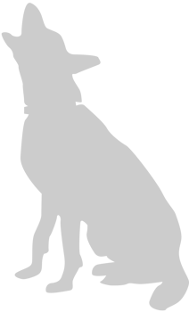 Dog vector