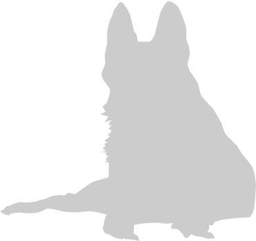 Dog vector
