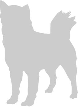 Dog vector