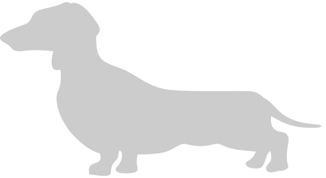Dog vector