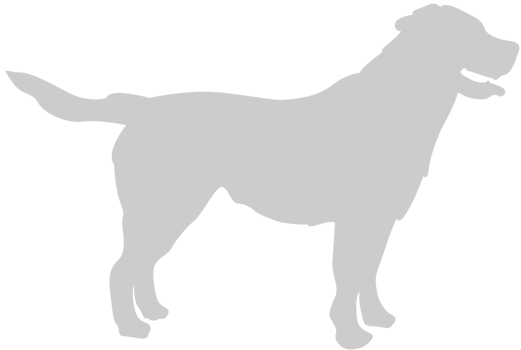 Dog vector