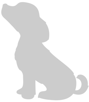 Dog vector