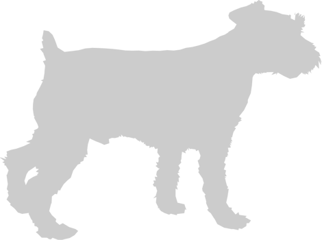 Dog vector