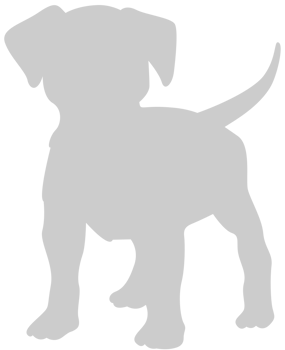 Dog vector